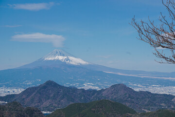 mountain and blossoms