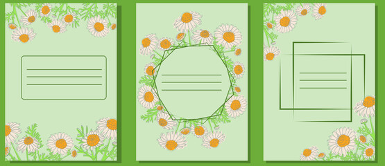 Set of botanical cards with Chamomile. Floral templates for notebooks, diaries, brochures, books, catalogs, etc. Hand drawn vector illustration