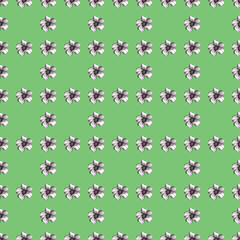 Seamless Pattern with Hand Drawn Marigold Flower.