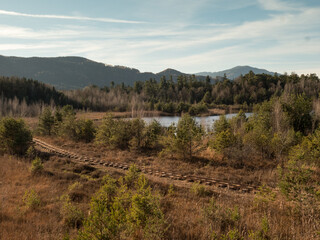 Fototapeta na wymiar railway through moor in autumn with mountains at the background