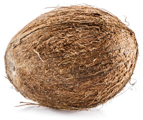 Coconut -large brown tropical fruit isolated on white background.