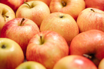 Apples fruit. Several beautiful fresh red apples