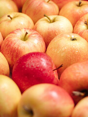 Apples fruit. Vertical view of several beautiful fresh red apples