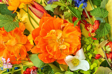 spring flowers and leaves on the yellow background