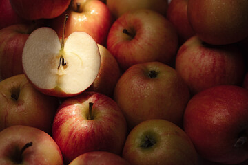 Apples fruit. Several fresh and one cut apple in shade under sunbeam