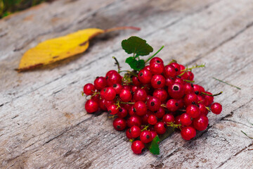 red currant on a wooden table