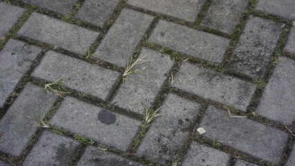 Obraz premium pebble stone texture rough pattern for 3D background resources