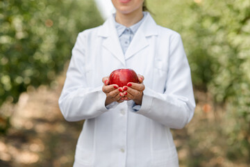 Healthy food, modern eco farm, organic fruits for trade. Agro business outdoor