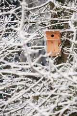Birdhouse on a tree covered in snow during winter in Vosges France