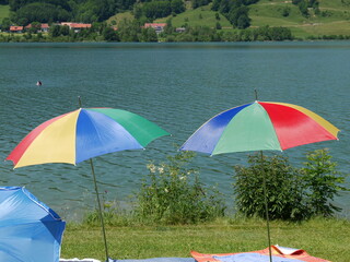 Lakeside View In Summer