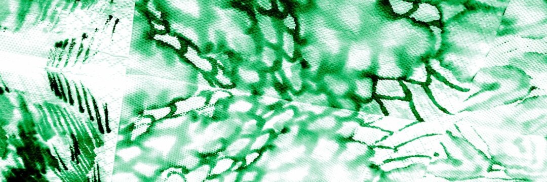 Exotic Animal Print. Bright Cross Lines. White