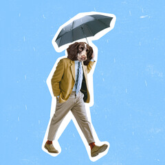 Contemporary art collage of man headed with dog's head walking under umbrella isolated over blue background.