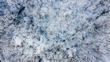 Top view of the tree crowns covered with snow. Aerial view of winter forest after snowfall. Wintertime concept