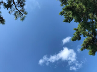 Fototapeta premium sky and clouds