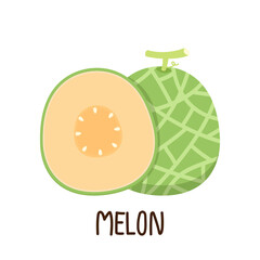 Melon vector. melon on white background. wallpaper. symbol. logo design. melon poster.