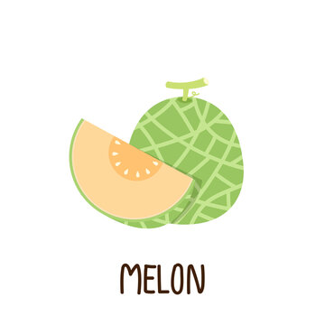 Melon vector. melon on white background. wallpaper. symbol. logo design. melon poster.