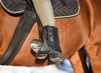 Boot riders in horse scabbard, close-up