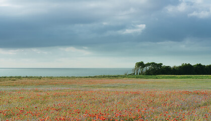 Steilküste zwischen Ahrenshoop und Wustrow anuf dem Darß an der Ostsee