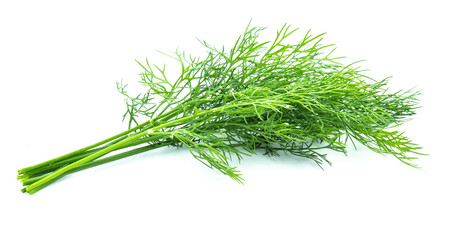 fresh dill green isolated on white background