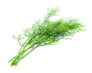 fresh dill green isolated on white background