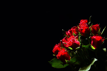 Bukiet róż na czarnym tle. textura pod życzenia na walentynki dla niej lub dla niego. kompozycja róży symbolizującej namiętność, czułość, miłość, delikatność.  - obrazy, fototapety, plakaty