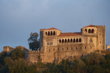 Fototapeta premium Medieval Leiria Castle built on top of a hill in Leiria, Portugal