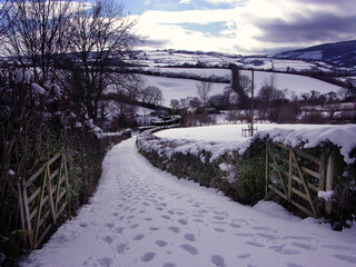 Exmoor In winter, Somerset, UK