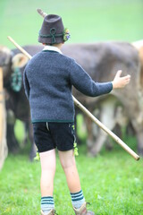 Almabtrieb Viehscheid im Allgäu