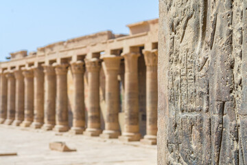 views of philae temple, full of hieroglyphics in aswan city.	