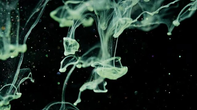 Abstraction with green color on a black background. The background of the art video with the texture of the green yaki will dissolve in the water.
