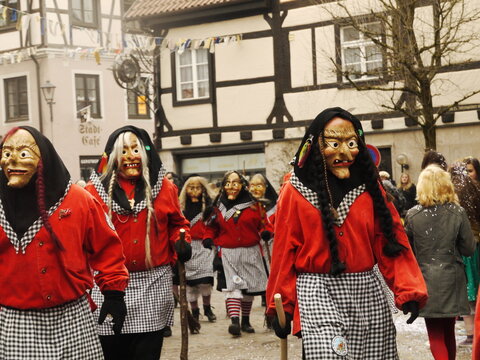 Faschingsumzug in Leutkirch im Allg&auml;u