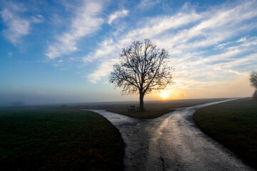 Fototapeta na wymiar Bare tree and bench con a field in Tübingen Germany on a foggy winter morning at the crossing of two wet dirtways in rural farming landscape at morning sunrise after a rain, colorful sky gradient.