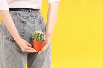 Woman holds cactus near her ass. Hemorrhoids concept