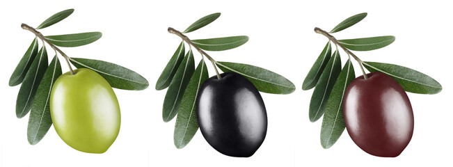 Set of green, black and brown olives with leaves, isolated on white background