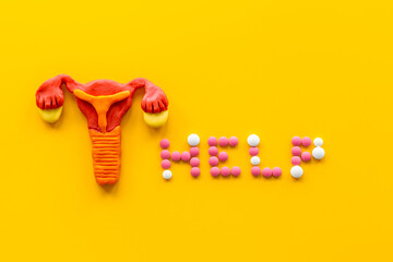 Model of female reproductive system with medical pills