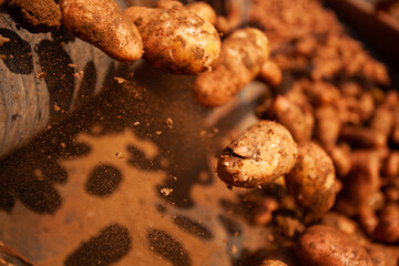 Factory interior. Potato production. Factory equipment, product manufacturing process. Modern factory.