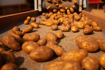 Factory interior. Potato production. Factory equipment, product manufacturing process. Modern factory.