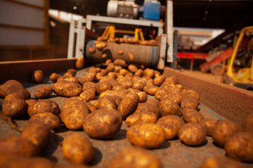 Factory interior. Potato production. Factory equipment, product manufacturing process. Modern factory.