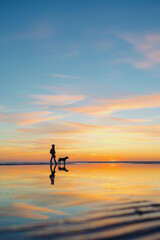 Fototapeta premium the silhouette of a man against the background of a sunset on a lake or sea. a woman or a man on the background of the setting sun walks and plays with his dog in nature, the friendship of man and dog