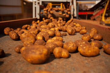 Factory interior. Potato production. Factory equipment, product manufacturing process. Modern factory.