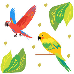 vector illustration of a parrot. Flat and cartoon parrot illustration