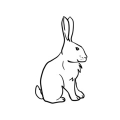 Hare sitting sideways Hand drawn vector illustrations of bunny on white background