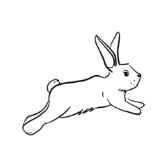 Rabbit jumping Hand drawn vector illustrations