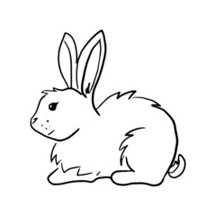 Rabbit lies Hand drawn vector illustrations