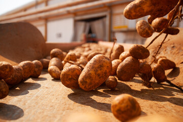 Factory interior. Potato production. Factory equipment, product manufacturing process. Modern factory.