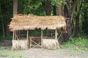 Fototapeta na wymiar A straw hut without walls on the edge of the jungle. Selective focus points