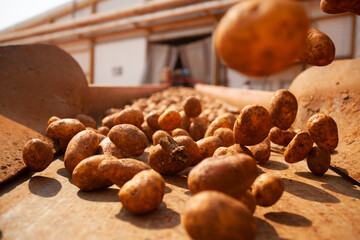 Factory interior. Potato production. Factory equipment, product manufacturing process. Modern factory.