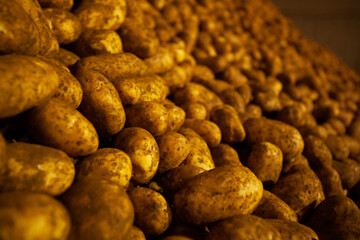 Factory interior. Potato production. Factory equipment, product manufacturing process. Modern factory.