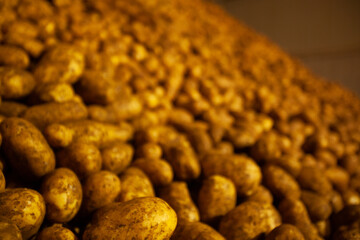 Factory interior. Potato production. Factory equipment, product manufacturing process. Modern factory.