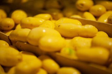 Factory interior. Potato production. Factory equipment, product manufacturing process. Modern factory.